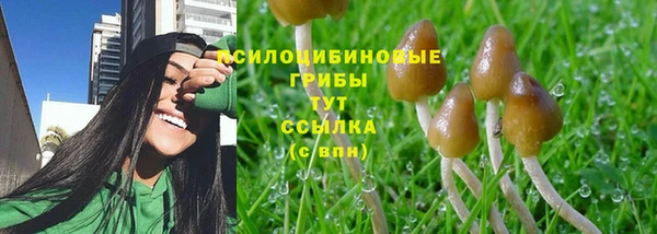 бутират Балахна