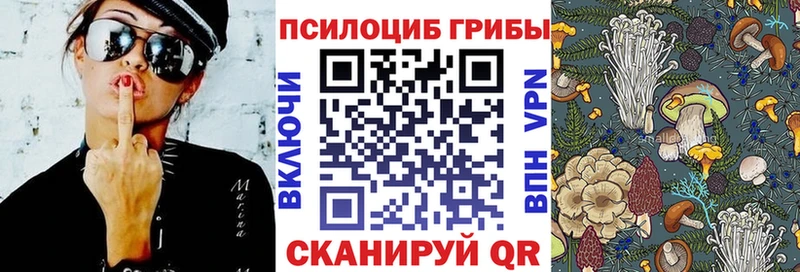 Псилоцибиновые грибы Magic Shrooms  Суворов 